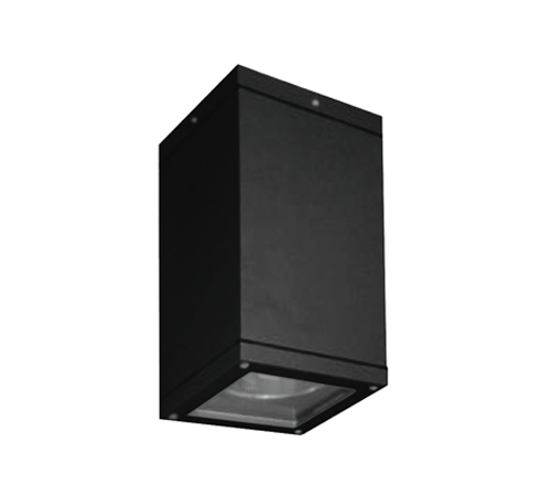 LED Down Light